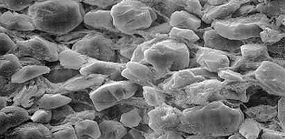 Silica Magnified Silica Magnified